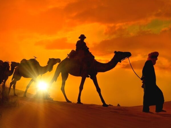 Viaggio organizzato in Marocco alla scoperta delle città Imperiali ed il deserto del Sahara