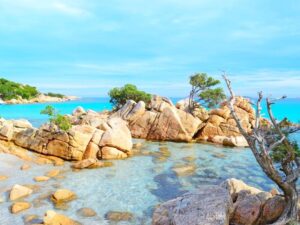 Viaggio in catamarano Corsica e Sardegna - Spiaggia di Lotu e Saleccia