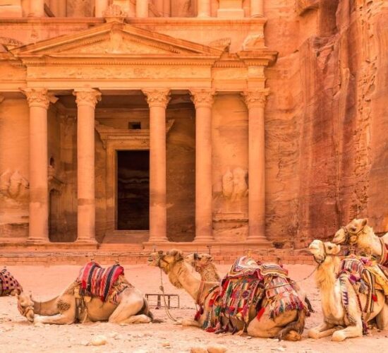Viaggio organizzato in Giordania - Il tesoro di Petra con i suoi simpatici amici Dromedari