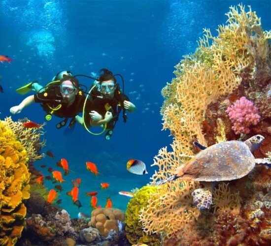 Viaggio organizzato alle Maldive - Snorkeling nella barriera corallina