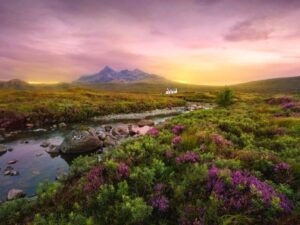 Viaggio Organizzato in Scozia in una natura selvaggia
