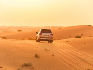 Viaggio di gruppo negli Emirati Arabi - Il deserto