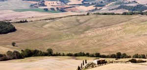 Trekking a Siena in Val d'Orcia