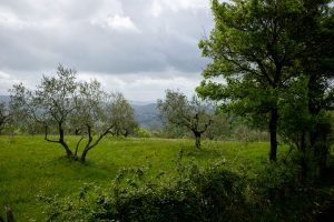Trekking al Monte Morello Arcobaleno - Firenze