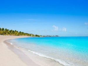 Viaggio a Key West e Miami